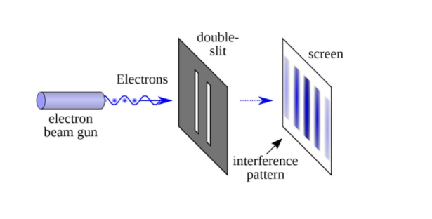 Z Physics
