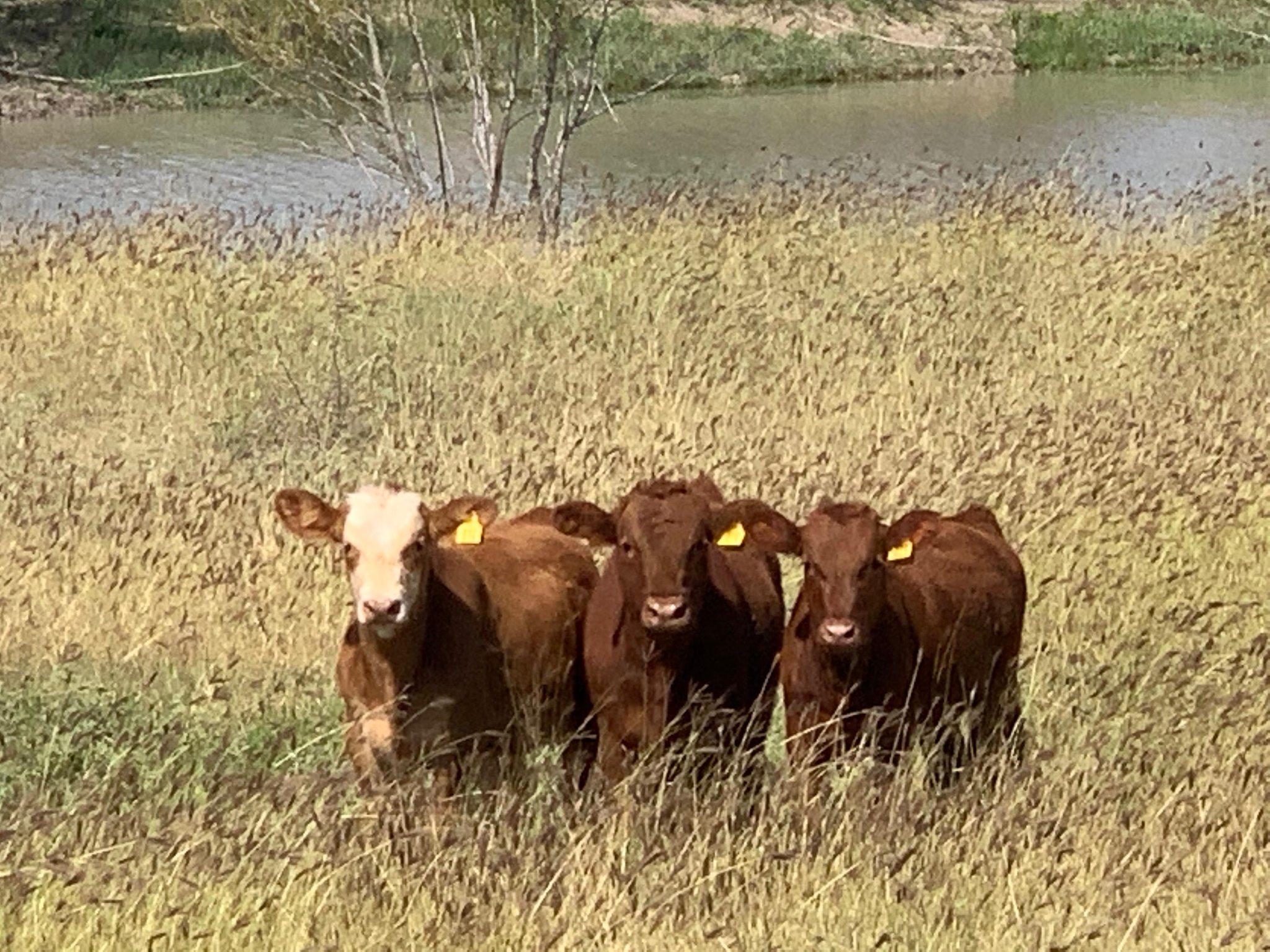 W & R Farms and Ranches
