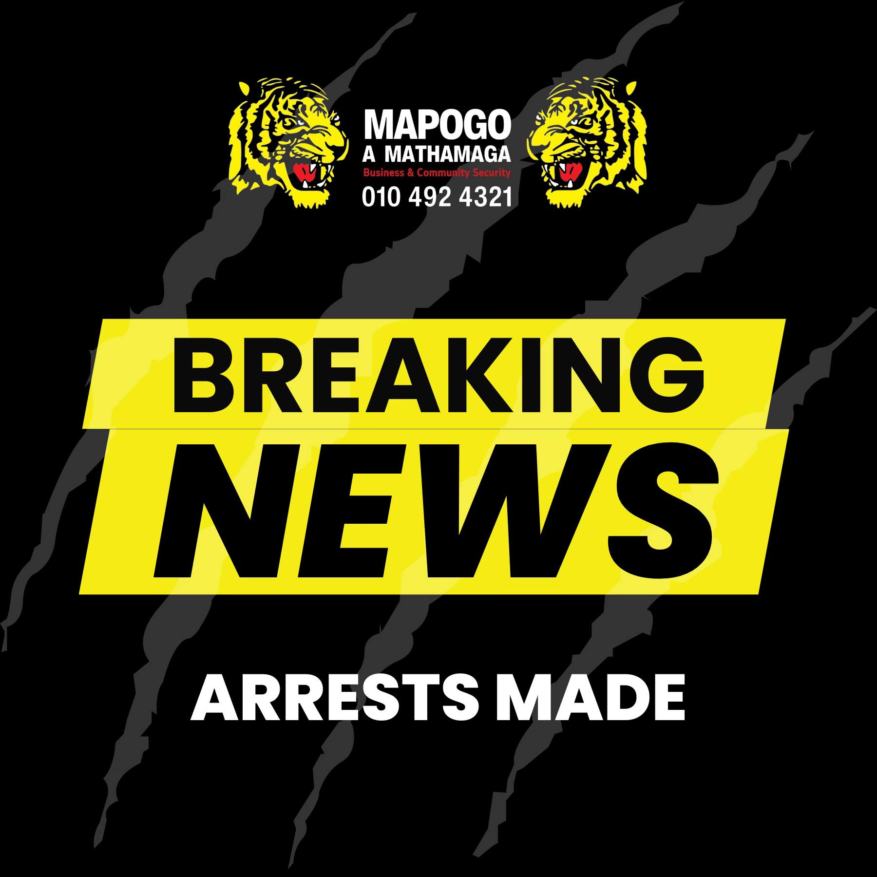 Mapogo Security | Randfontein