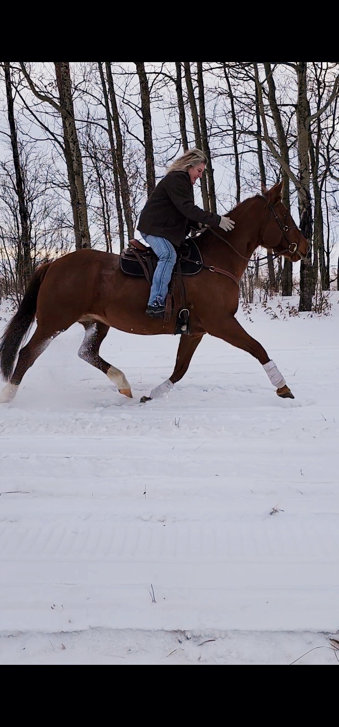 AJL Equine | Rimbey AB