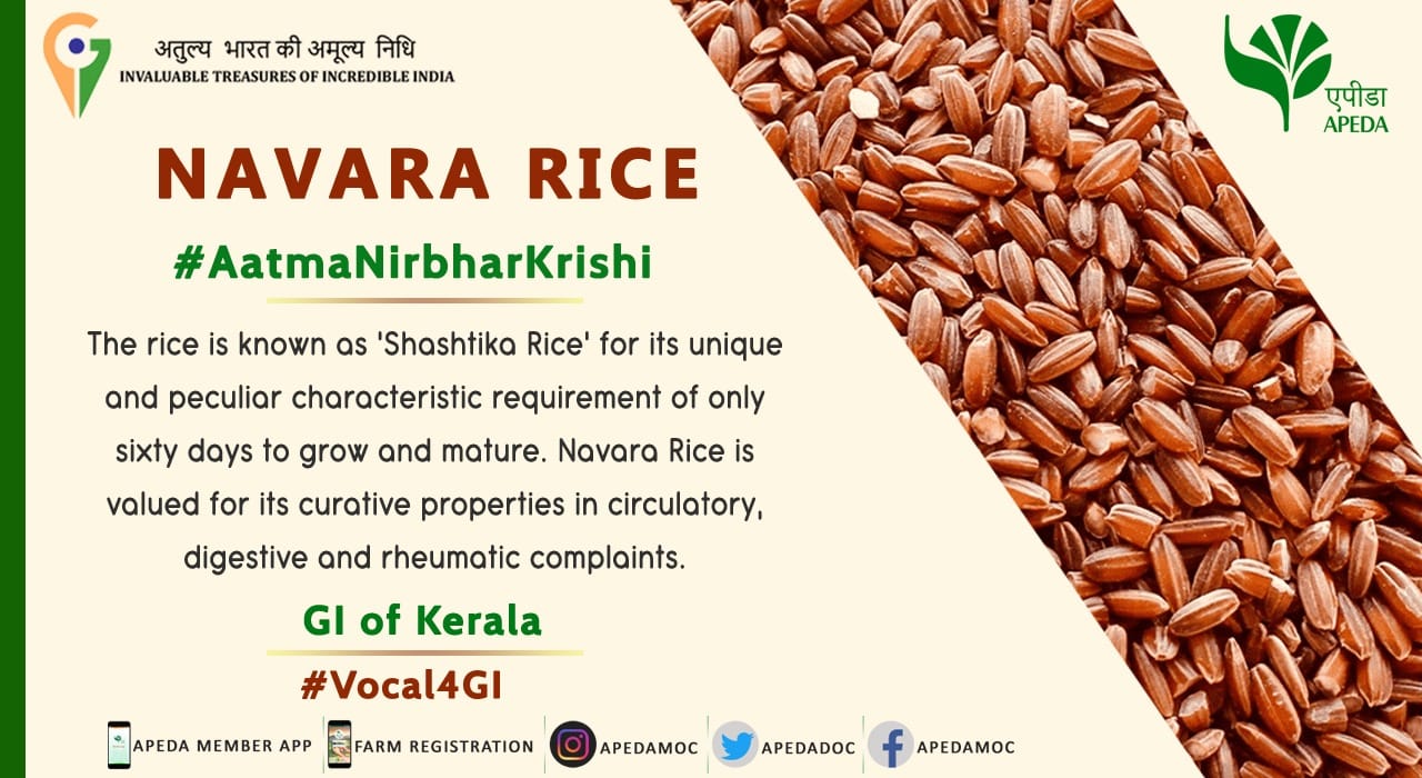 The rice is known as '#Shashtika Rice' for its unique and peculiar ...