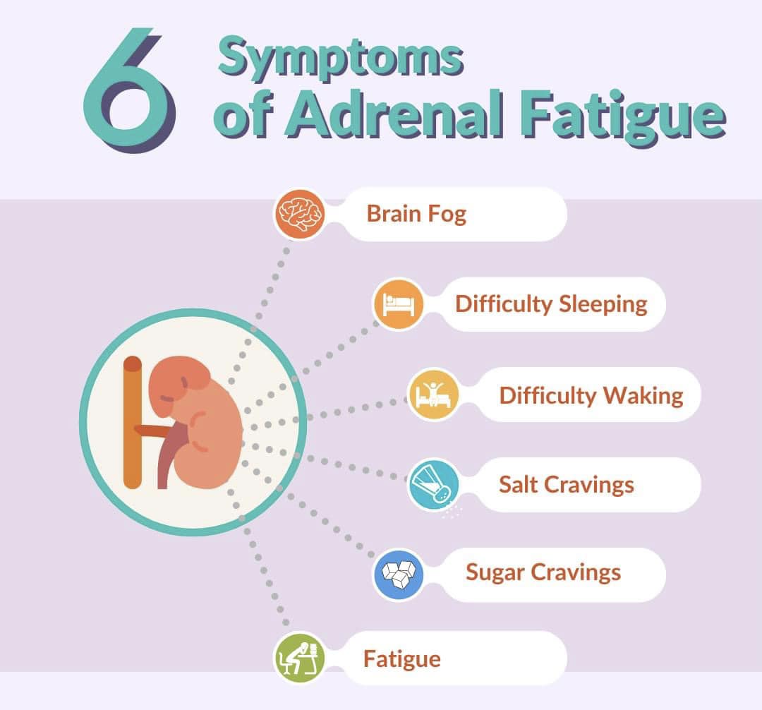 glutathione and adrenal fatigue fatigue” refers to the idea that when chronic stress overloads your adrenal glands, it can cause common symptoms like exhaustion, brain fog weight gain. The truth is, there is no 💡 Discover the Power