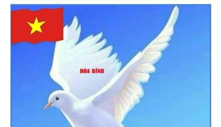 Mia Pham - Thử óc quan sát. Tên chung cho ba búc hình bên... | Facebook