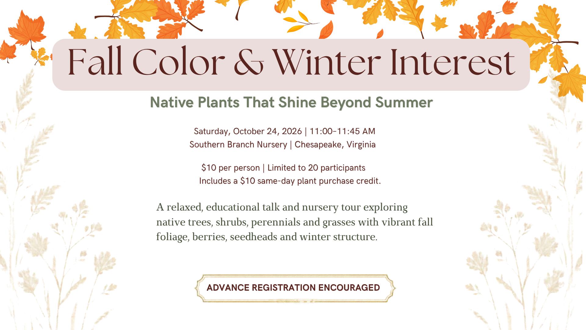 Fall Color & Winter Interest: Native Plants That Shine Beyond Summer