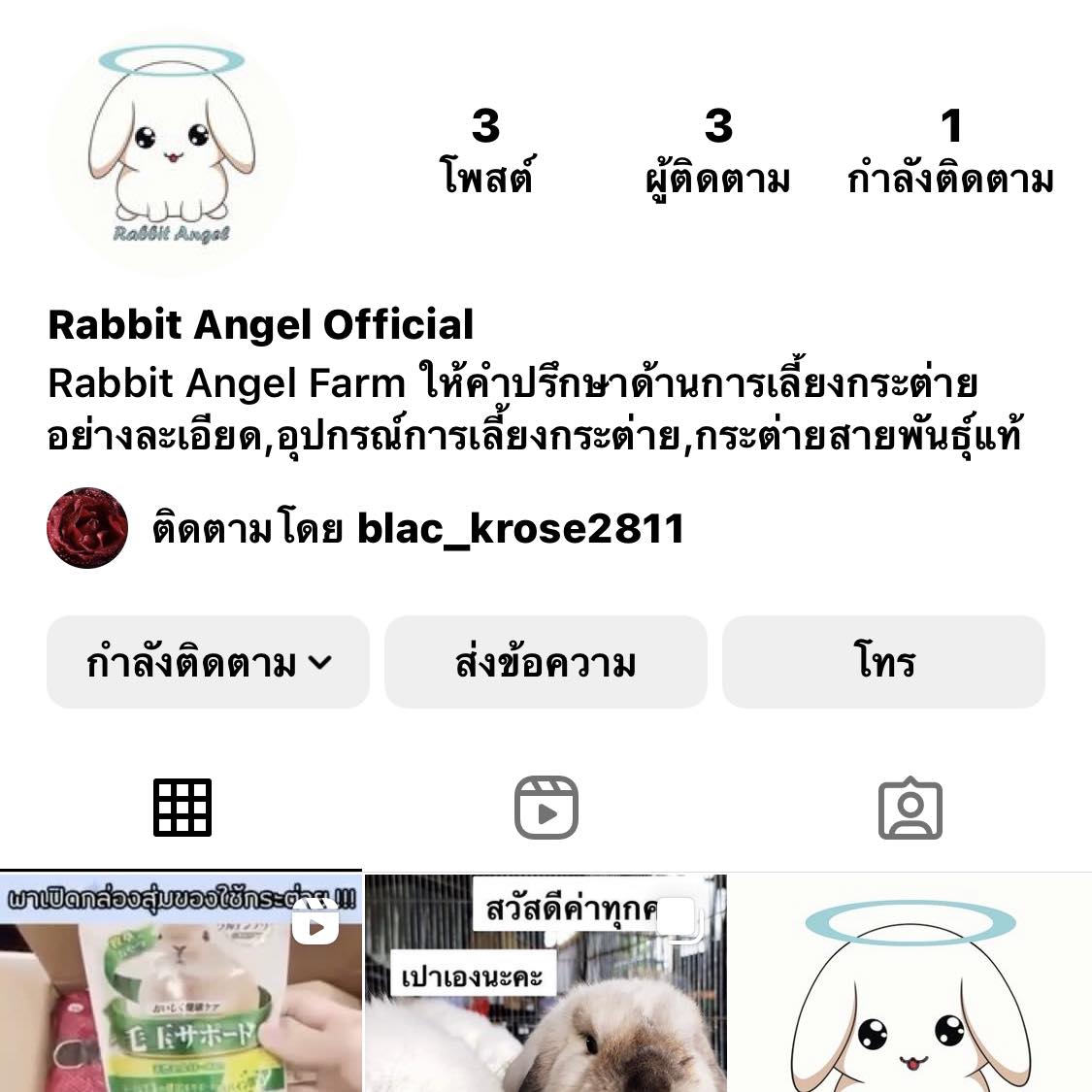 Rabbit Angel - Rabbit Angel มี Official Instagram... | Facebook