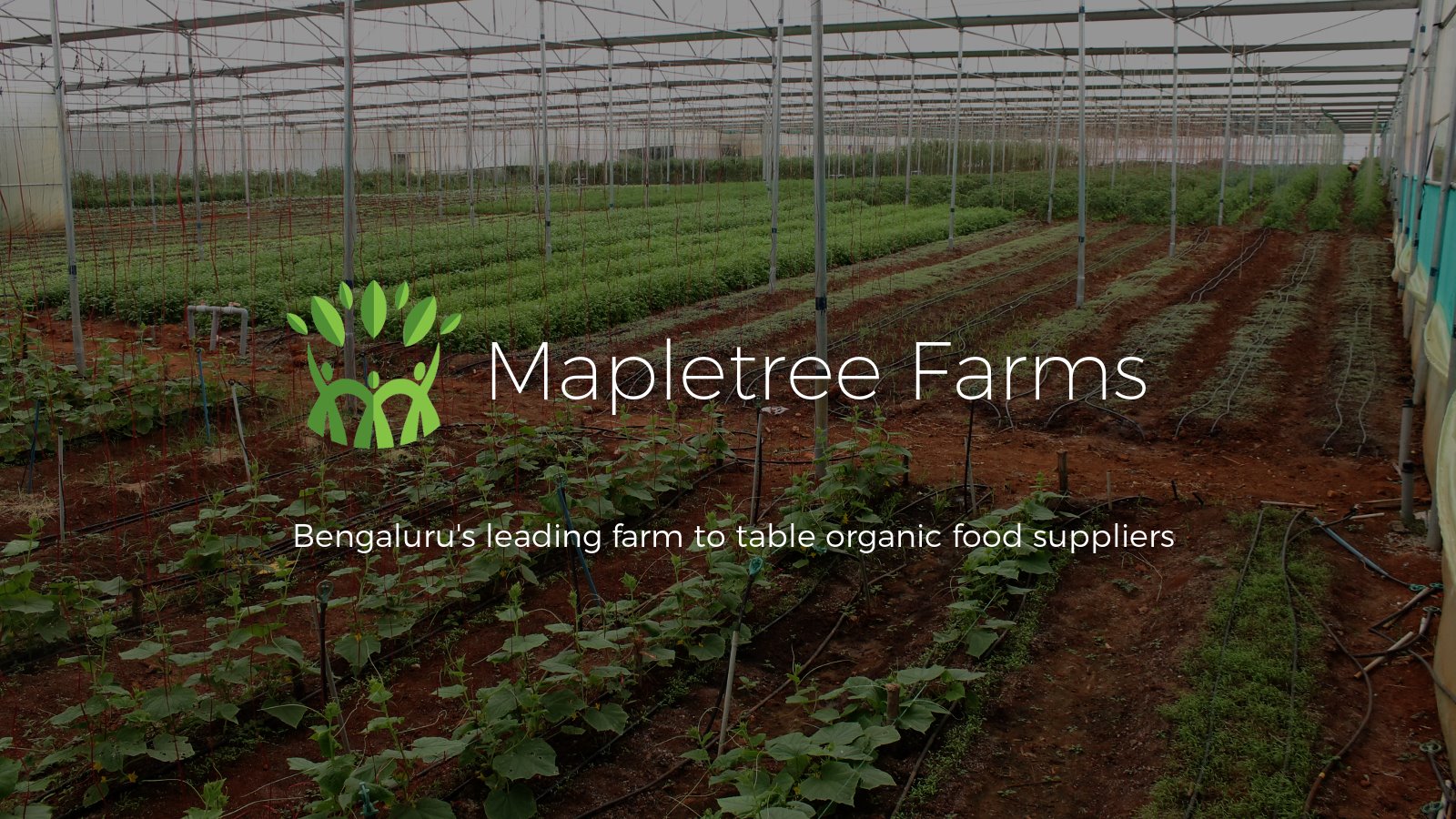 Mapletree Farms