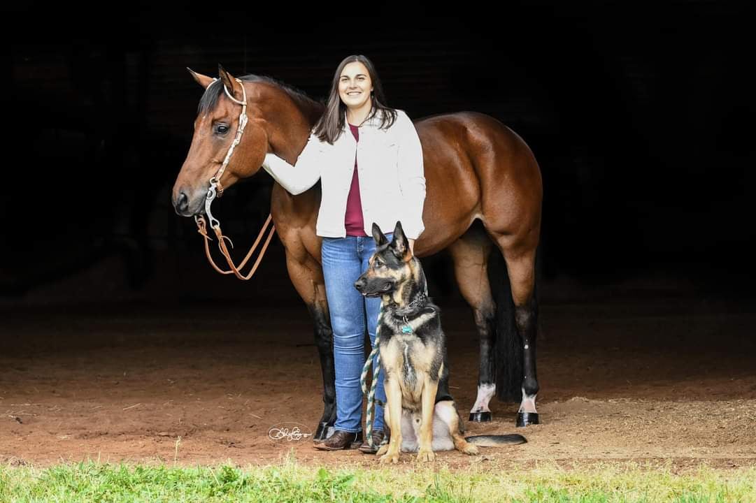 Straley Large Animal Veterinary Services | Bellefonte PA