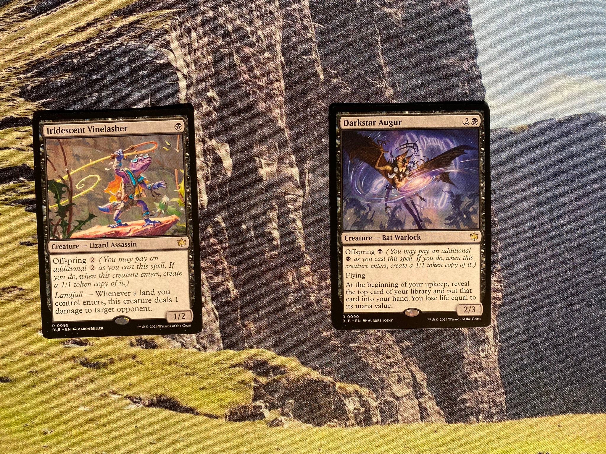 Collecting Bloomburrow booster set