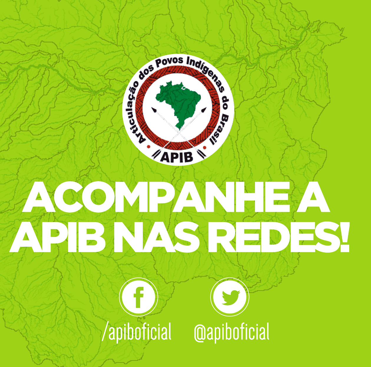 The APIB - Articulação dos... - Mobilização Nacional Indígena