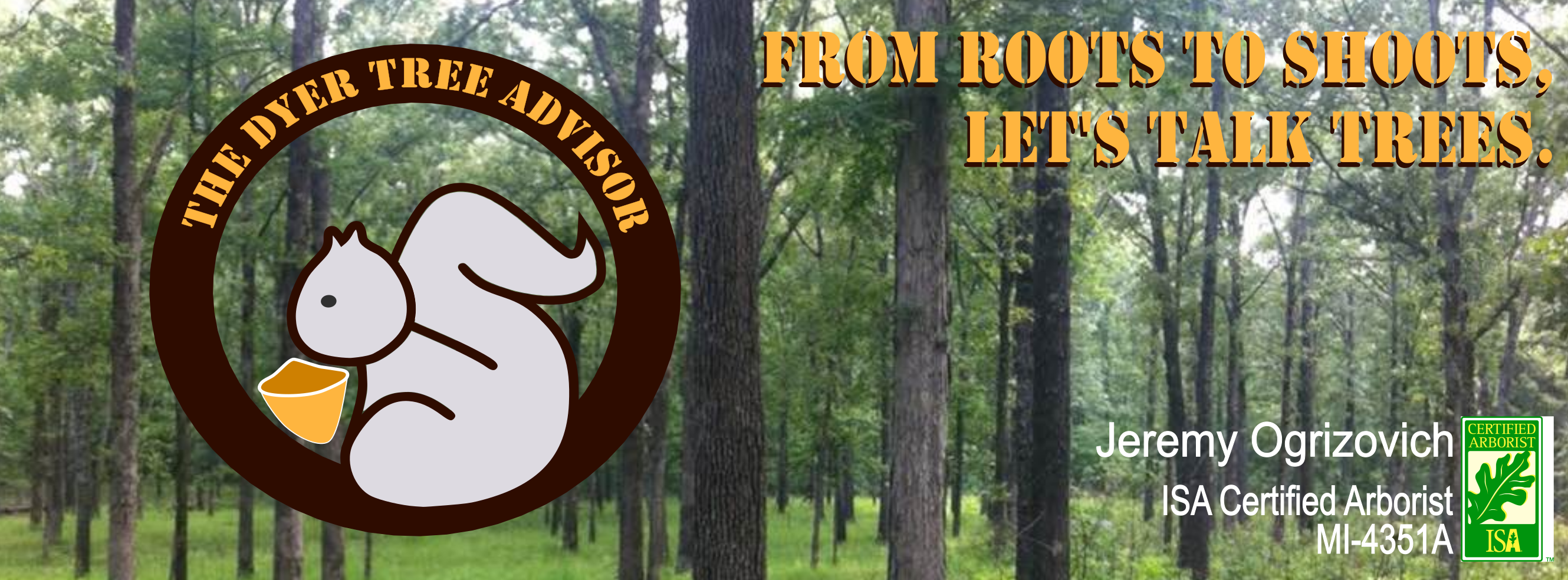 The Dyer Tree Advisor