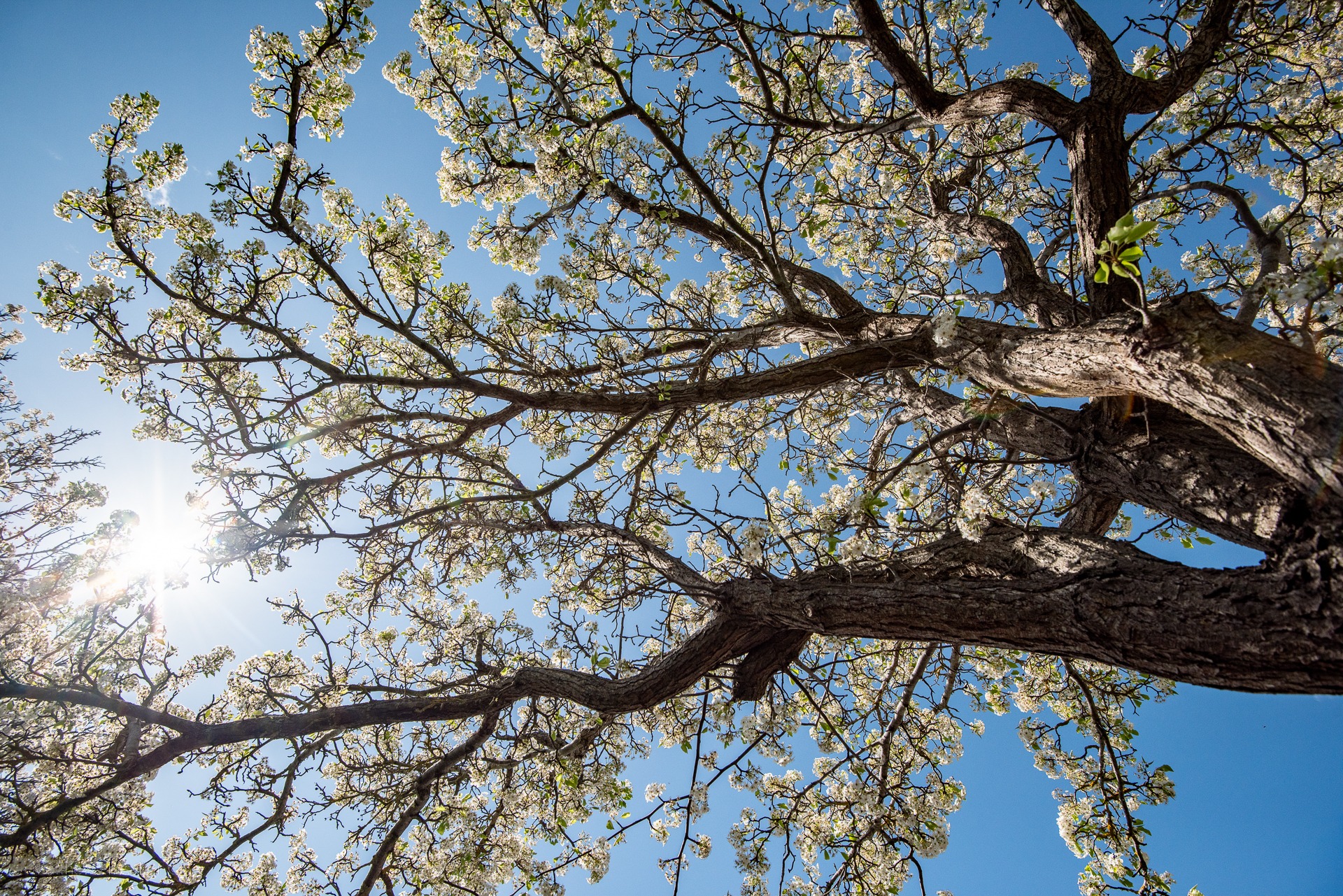 10 News Adelaide - Weather Watchers | Enjoying that Springtime Sun ...