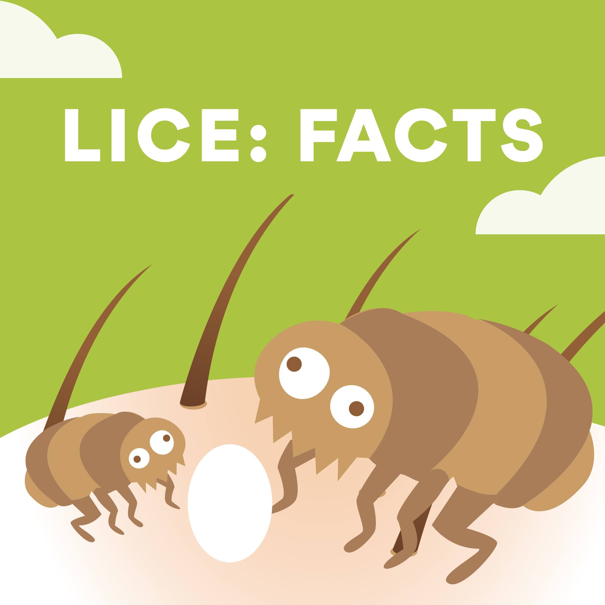 Lice Troopеrs