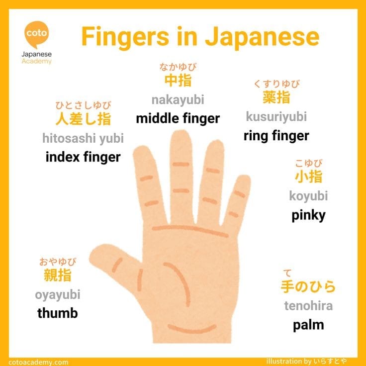 Did you know? Ring finger in Japanese is 薬指(くすりゆび - kusuri