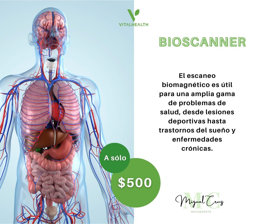 Un bioscanner puede ayudar en... - Miguel Cruz - Naturopata | Facebook