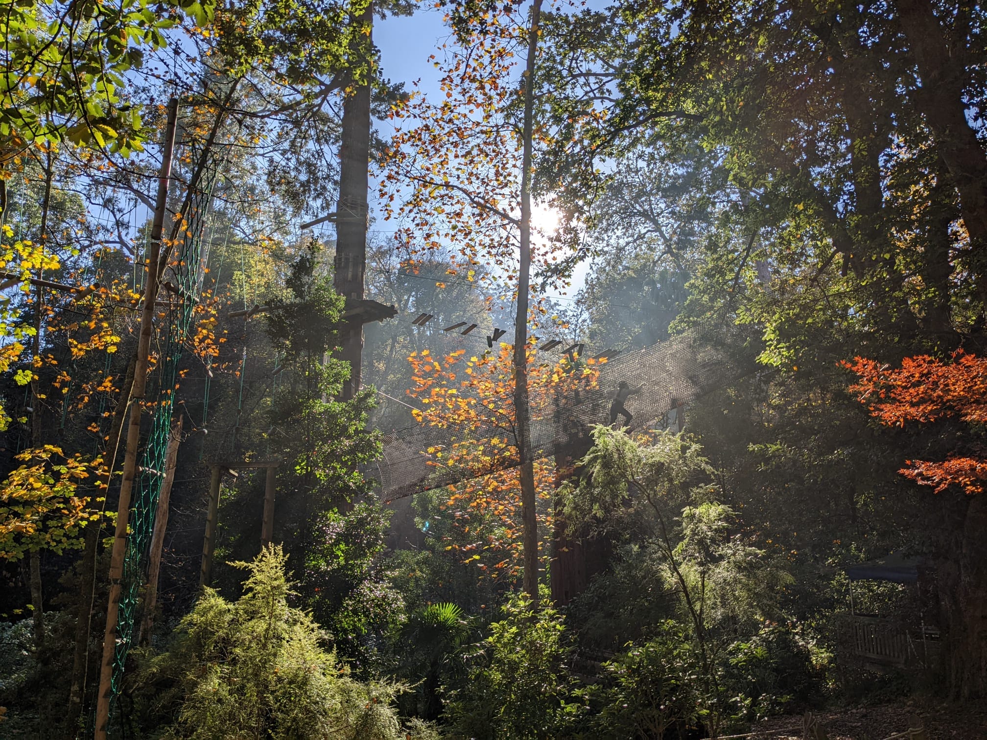 Treetops Adventure Belgrave | Belgrave VIC