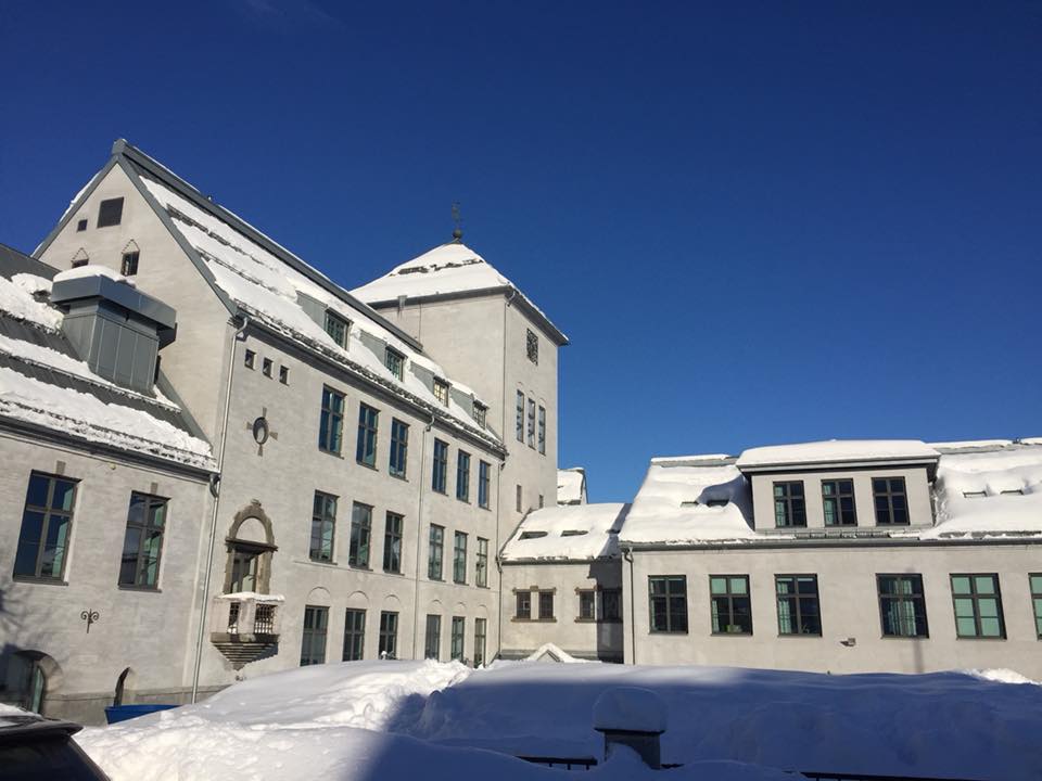 Danvik skole - SFO har kastet seg rundt og gjort i stand... | Facebook