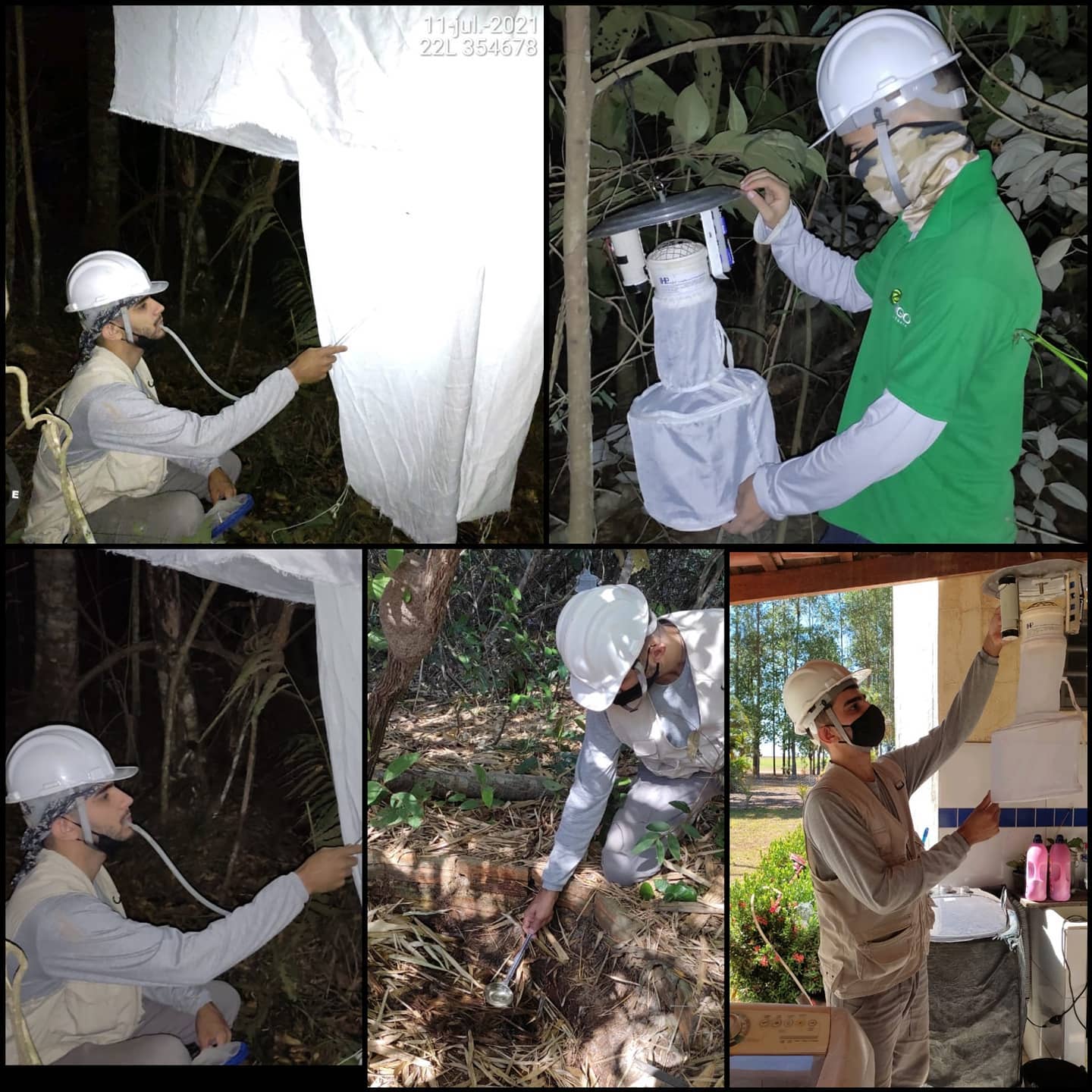 Terceira campanha APM na... - Radam Consultoria Ambiental