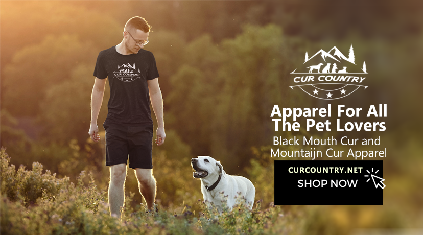 Cur Country LLC