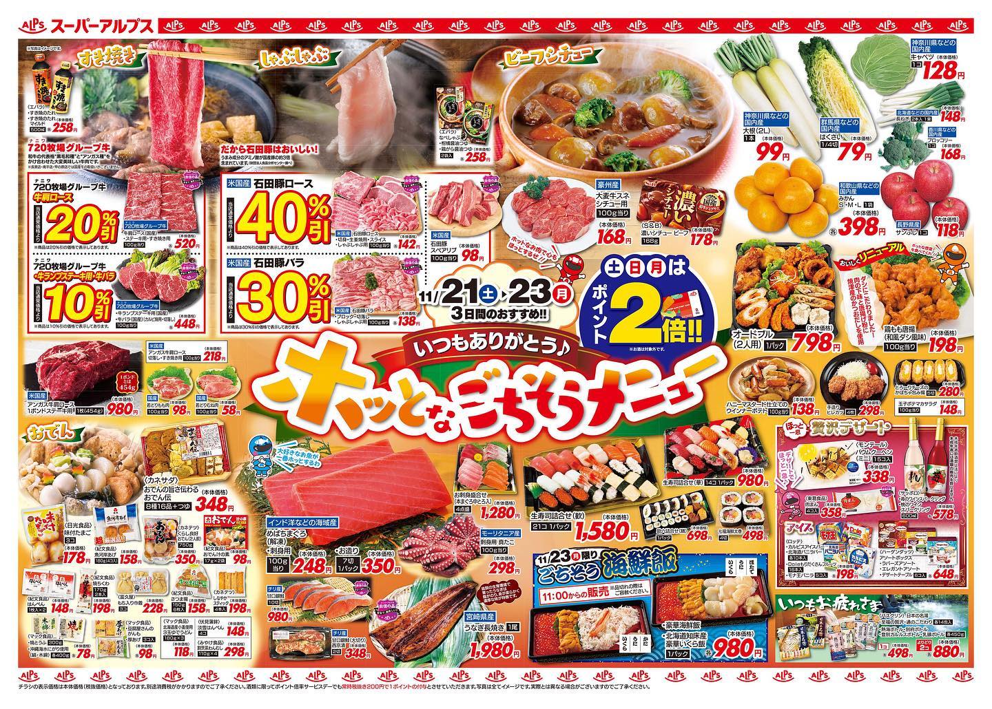 アルプス チラシ