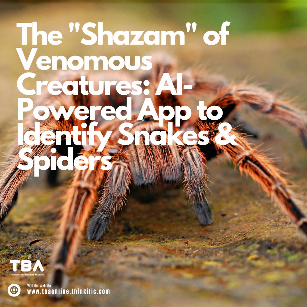 Technology - 🐍🕷️ The 