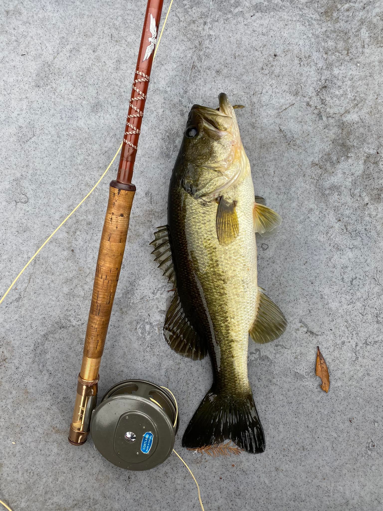 berkley fusion 19 weighted hooks Fusion19 Weight Swimbait 6/0 Eppinger Catch the fish of best hooks fishing Freshwater Size:3-4 Weight