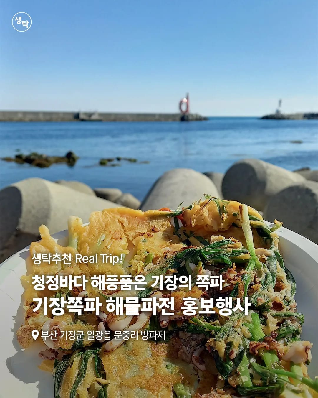 인생탁 맛있다. 생탁 - 