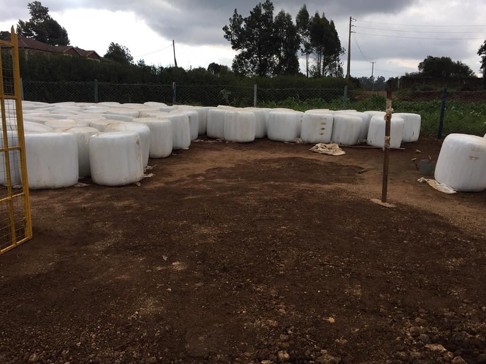 FEED & Fodder - In Limuru area ? Looking for maize... | Facebook