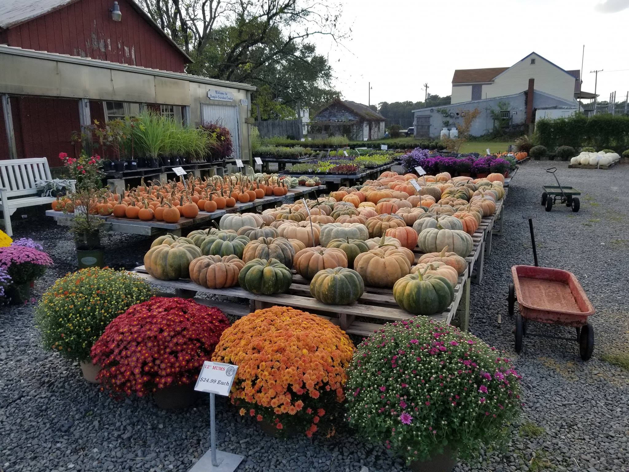 HAPPY FALL FOLKS!!! Giving... - Giving Tree Landscape Designs