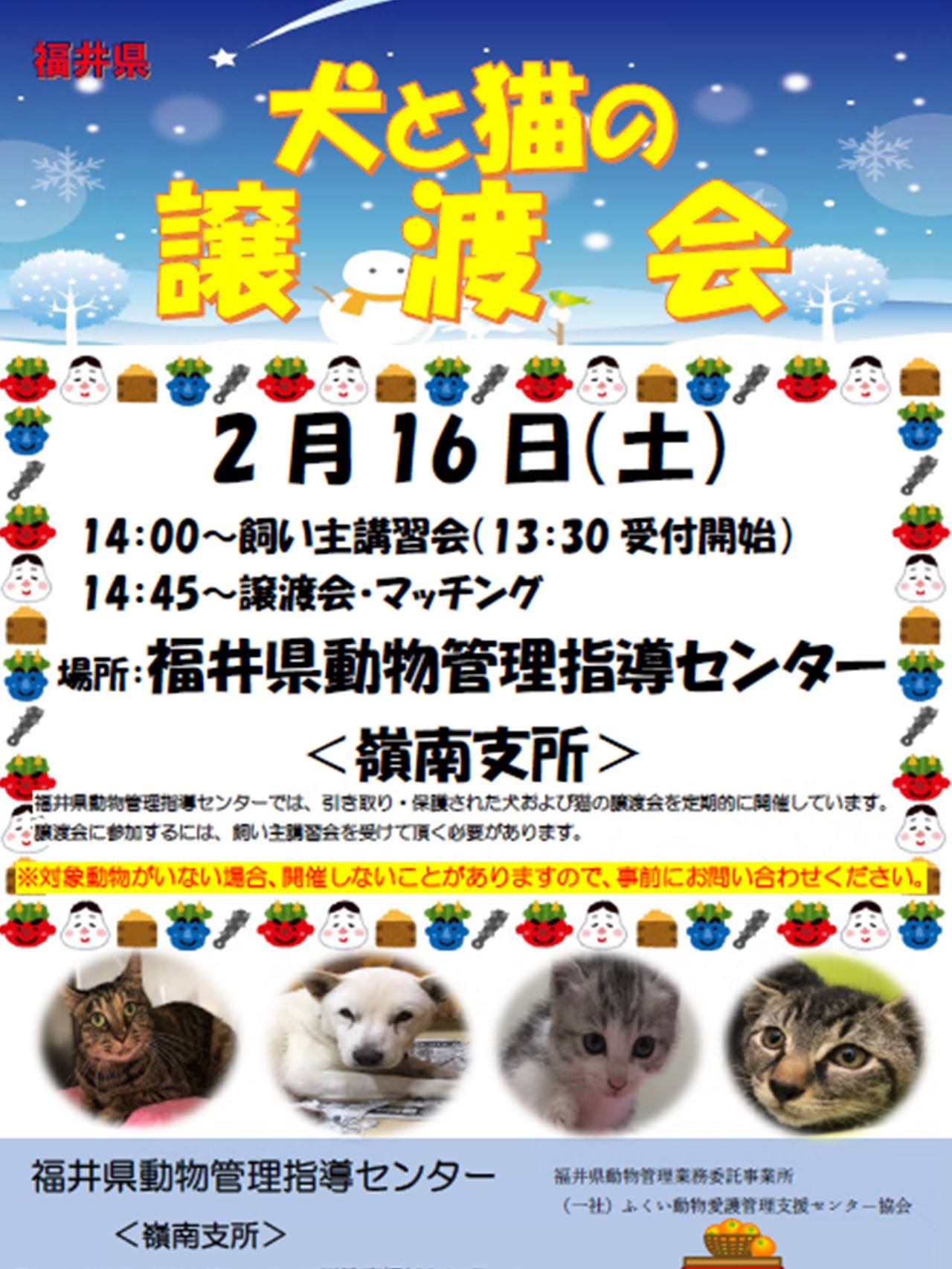 犬猫インフォふくい 福井県動物管理指導センターです Facebook