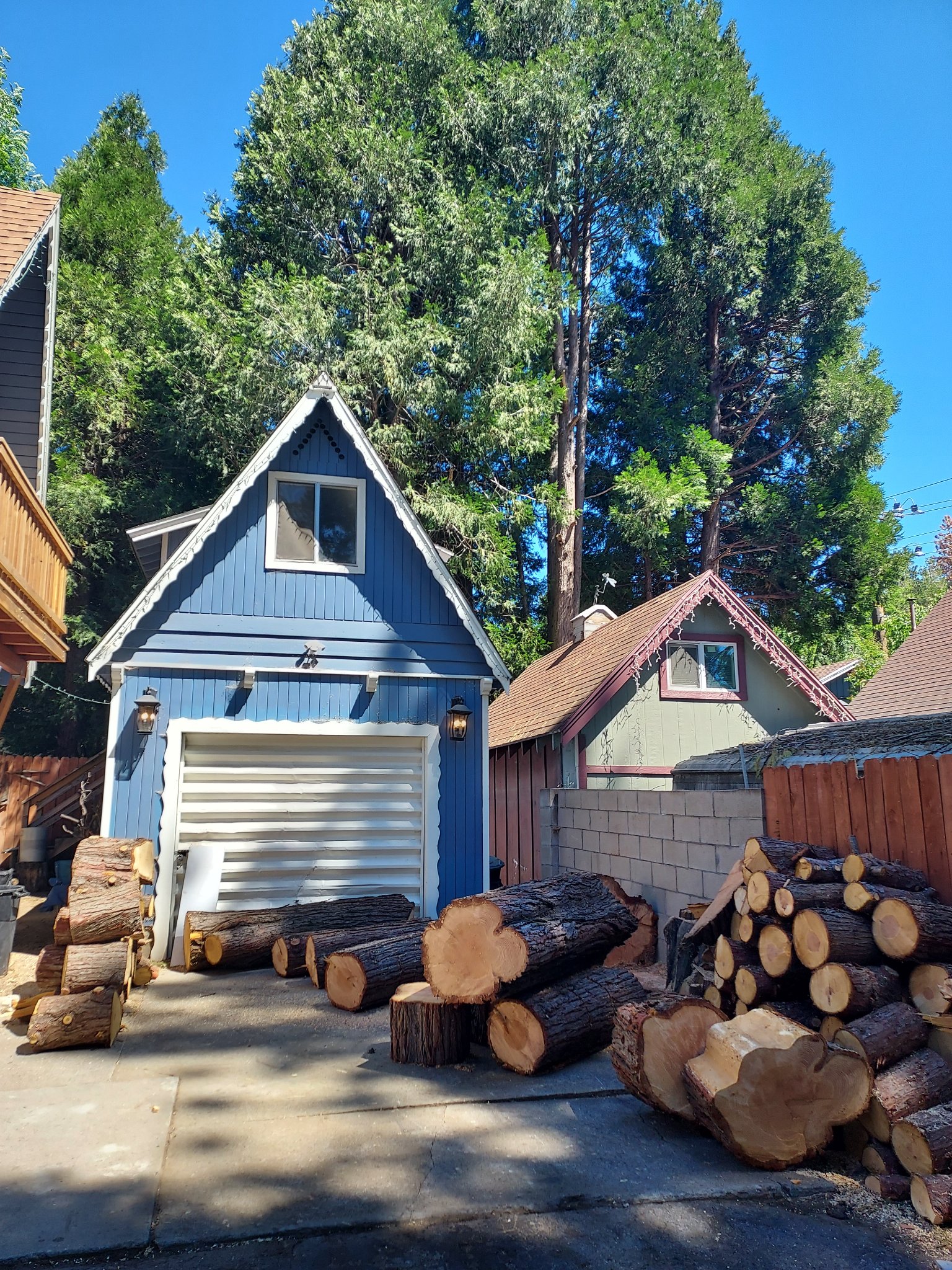 NO TREE'S TOO TALL OR SMALL WE DO... - ACL Tree Works LLC
