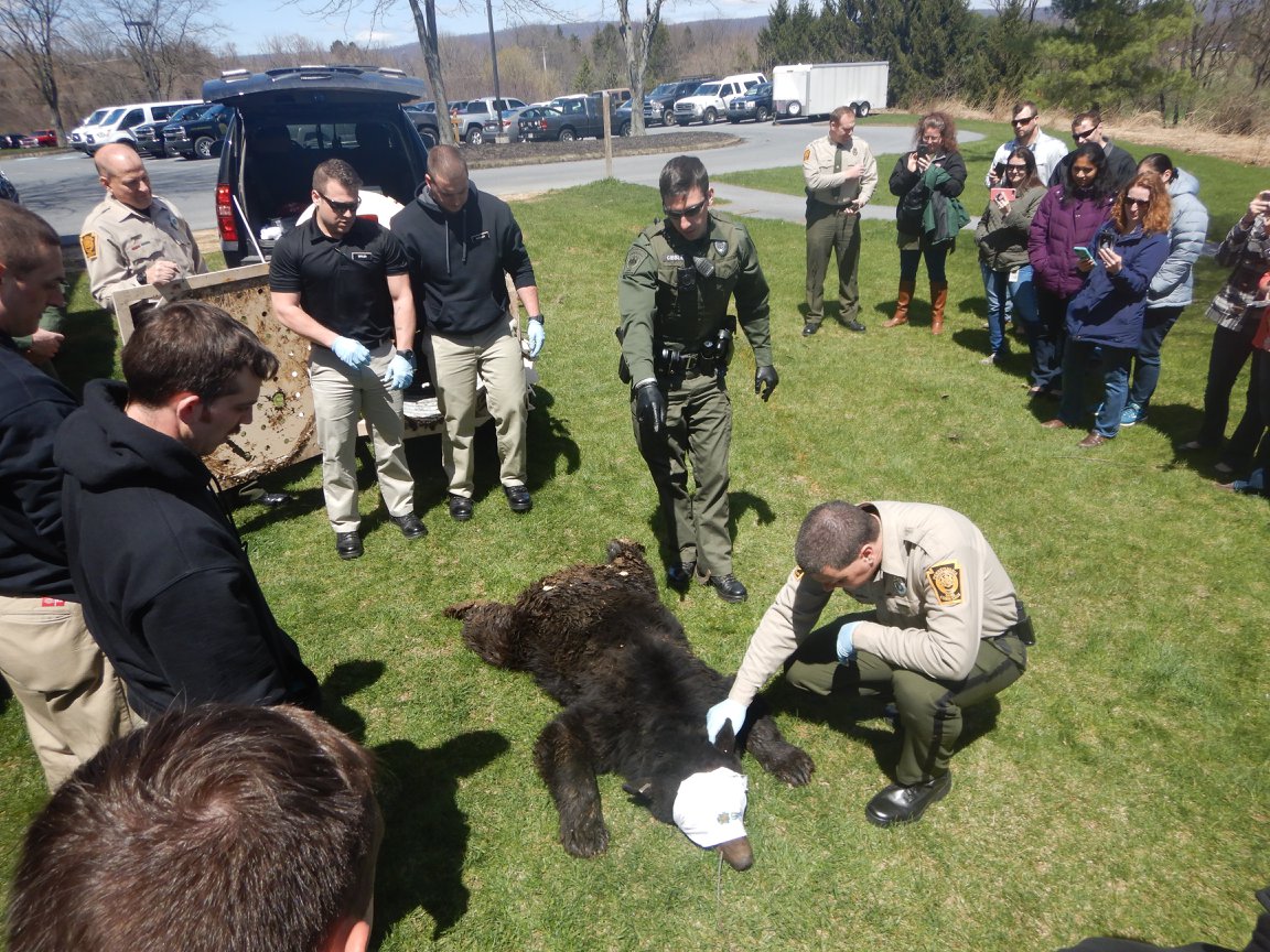 Pennsylvania Game Commission - Wardens Gibble and Sheetz demonstrate ...