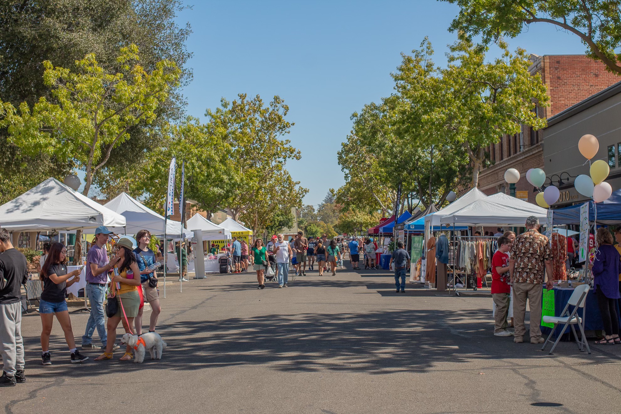 The Merced - 🎡 Save the Date! 🎉 We’re excited to announce the 2026 ...