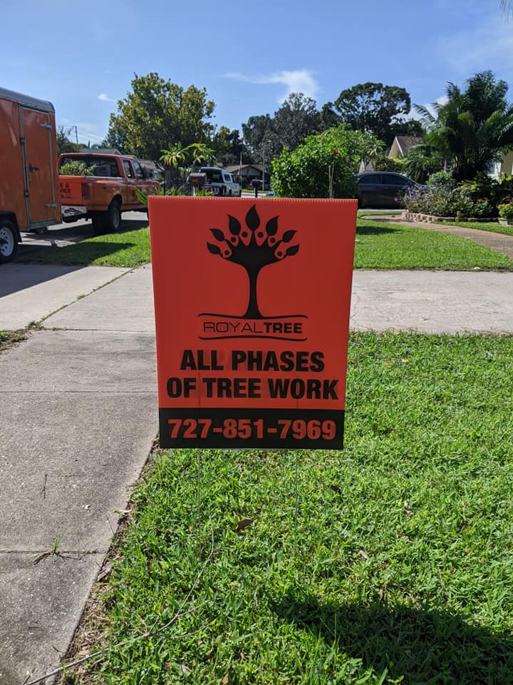 All phases of Tree Work! Look for... - Royal Tree Services