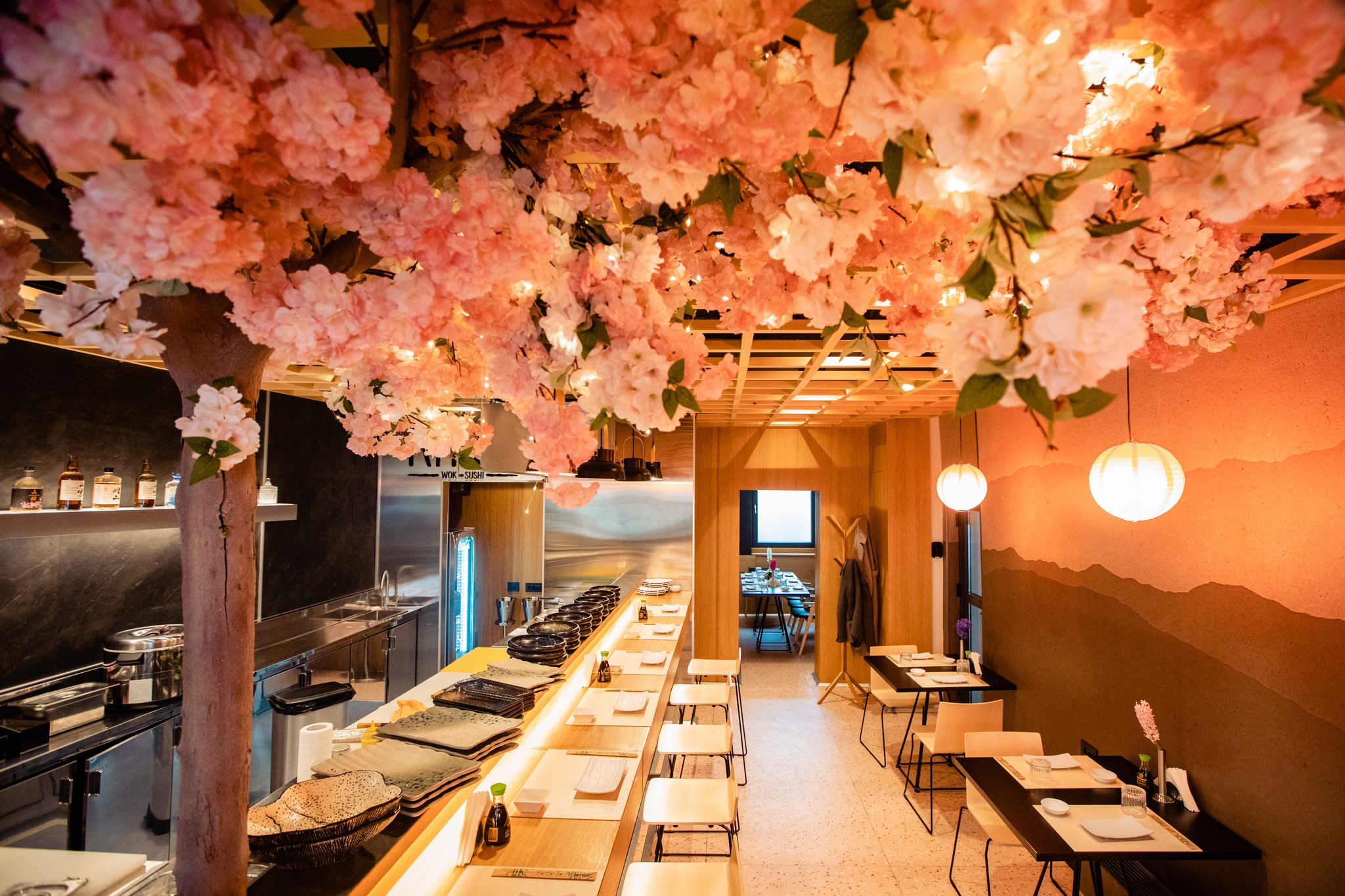 Riyo Wok & Sushi | Timisoara