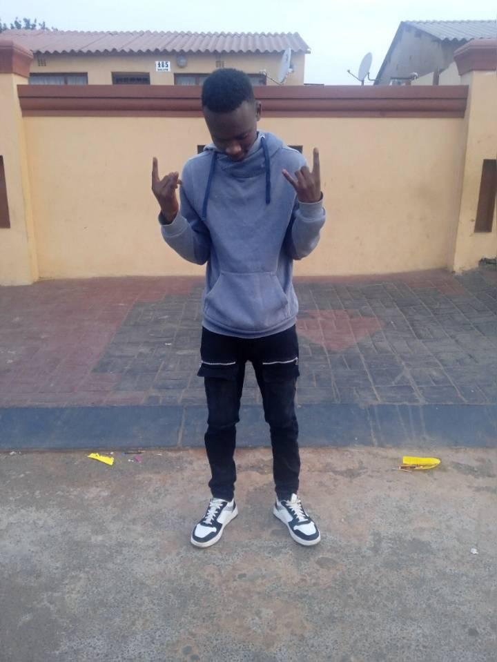 Emvee_lion9