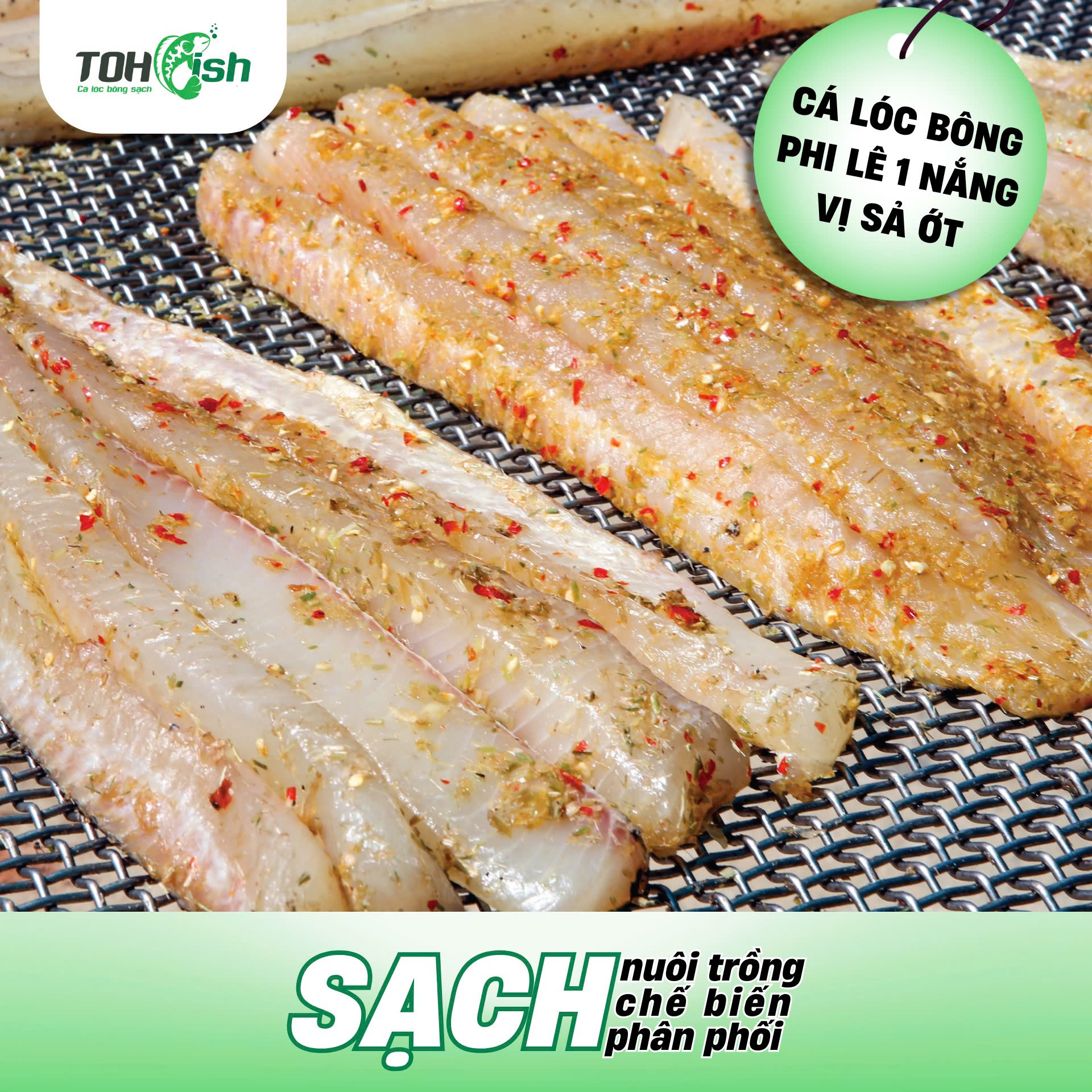 Toh Fish