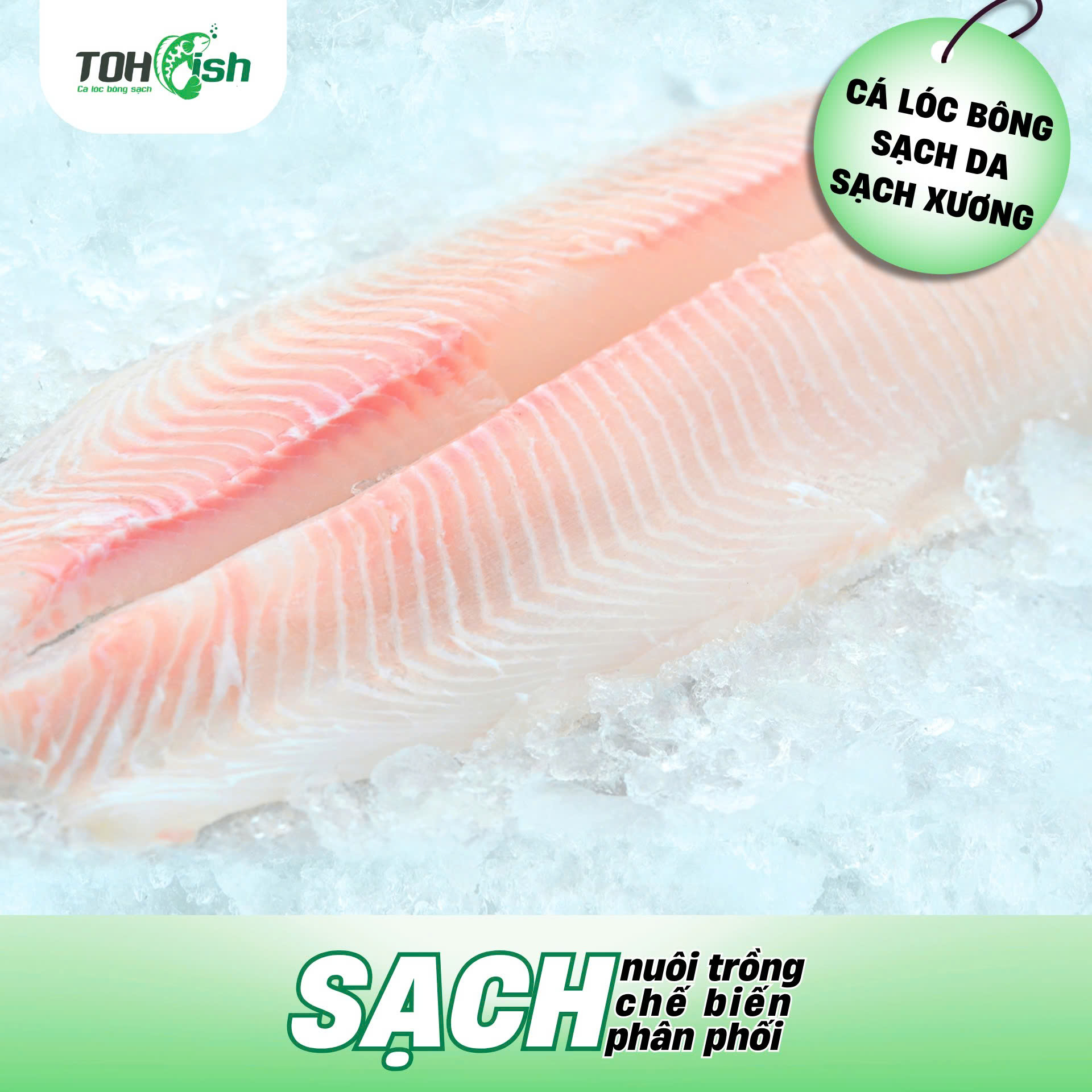 Toh Fish