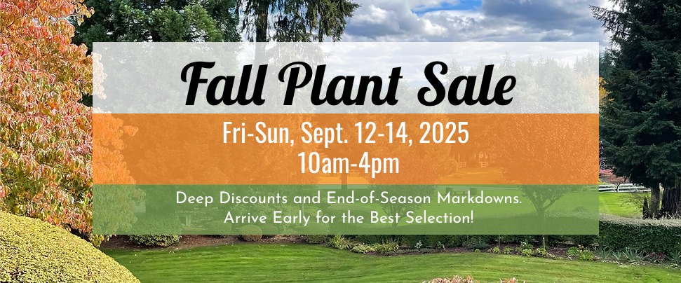 Fall Plant Sale