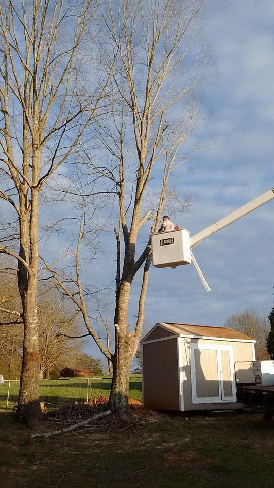 Veterans TreeService | Denver NC