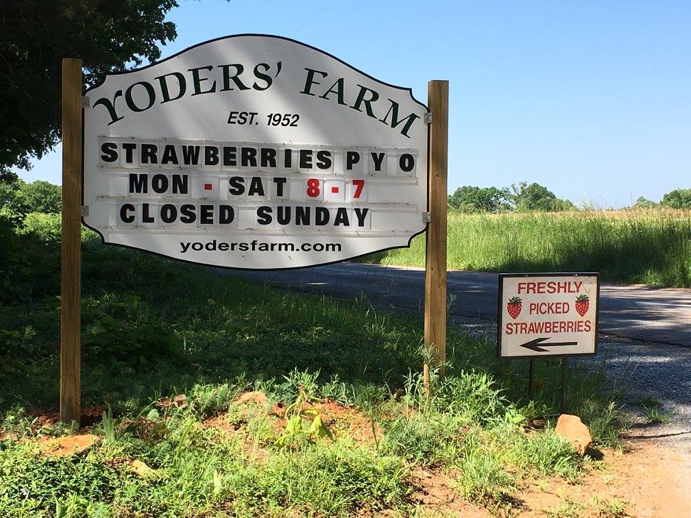 Yoders' Farm | Rustburg VA
