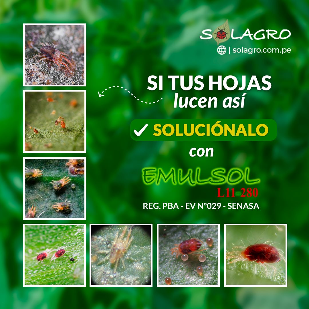 Solagro - EMULSOL es un concentrado emulsionable de origen... | Facebook