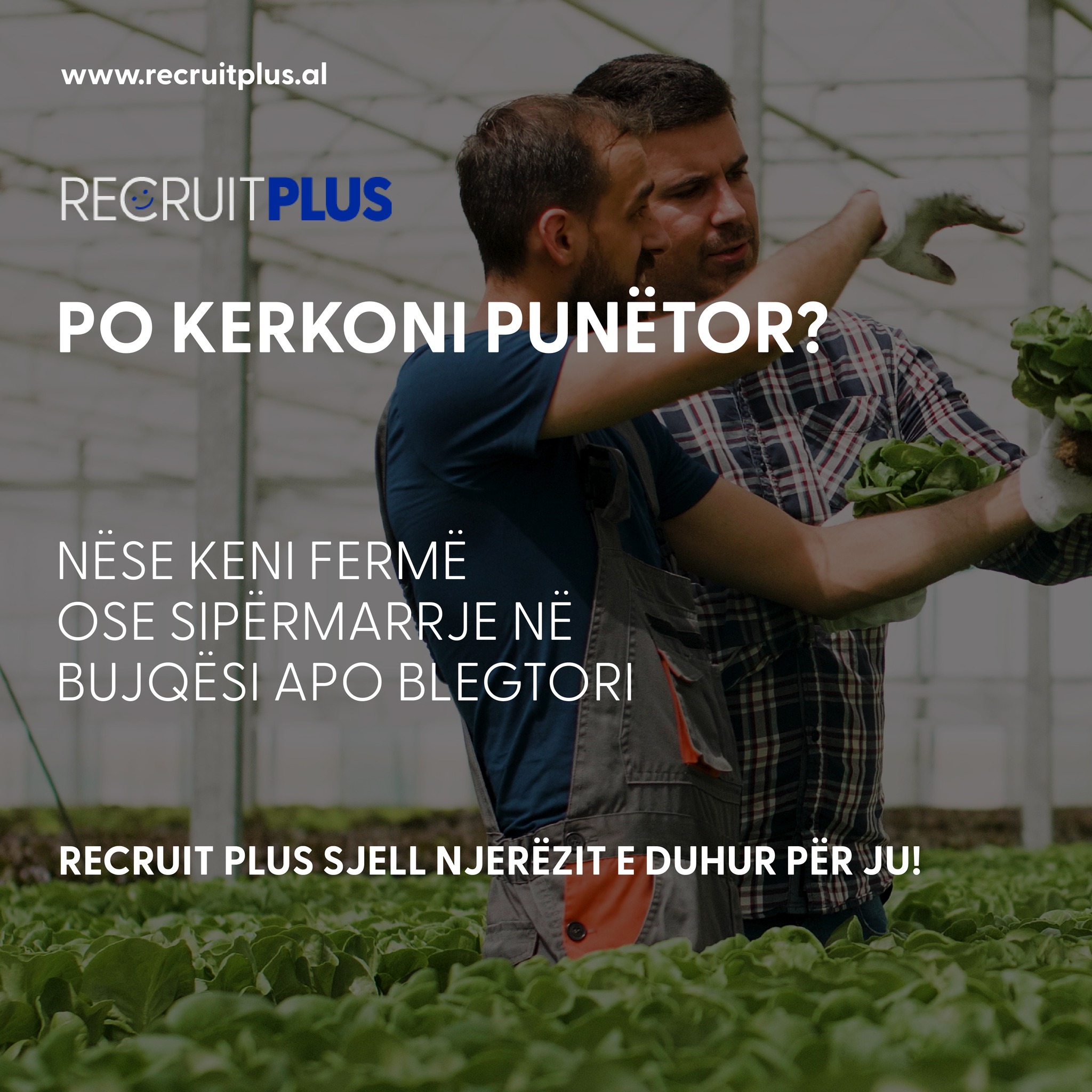 Recruit Albania