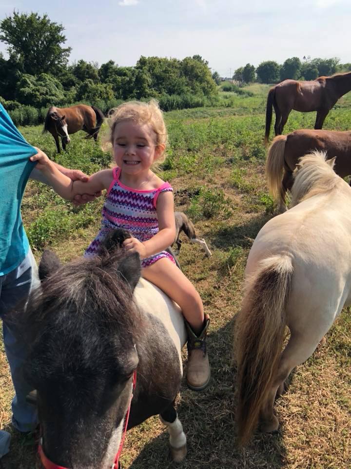 Gee-Haw Pony Rides