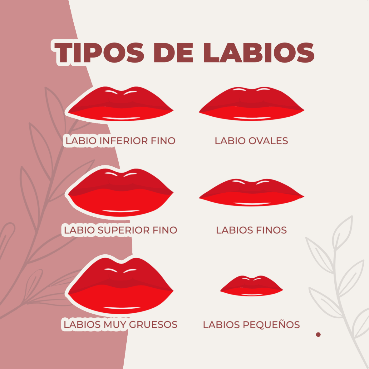 Consultorio Odontologico Andrea Finten - Existen diferentes tipos de ...