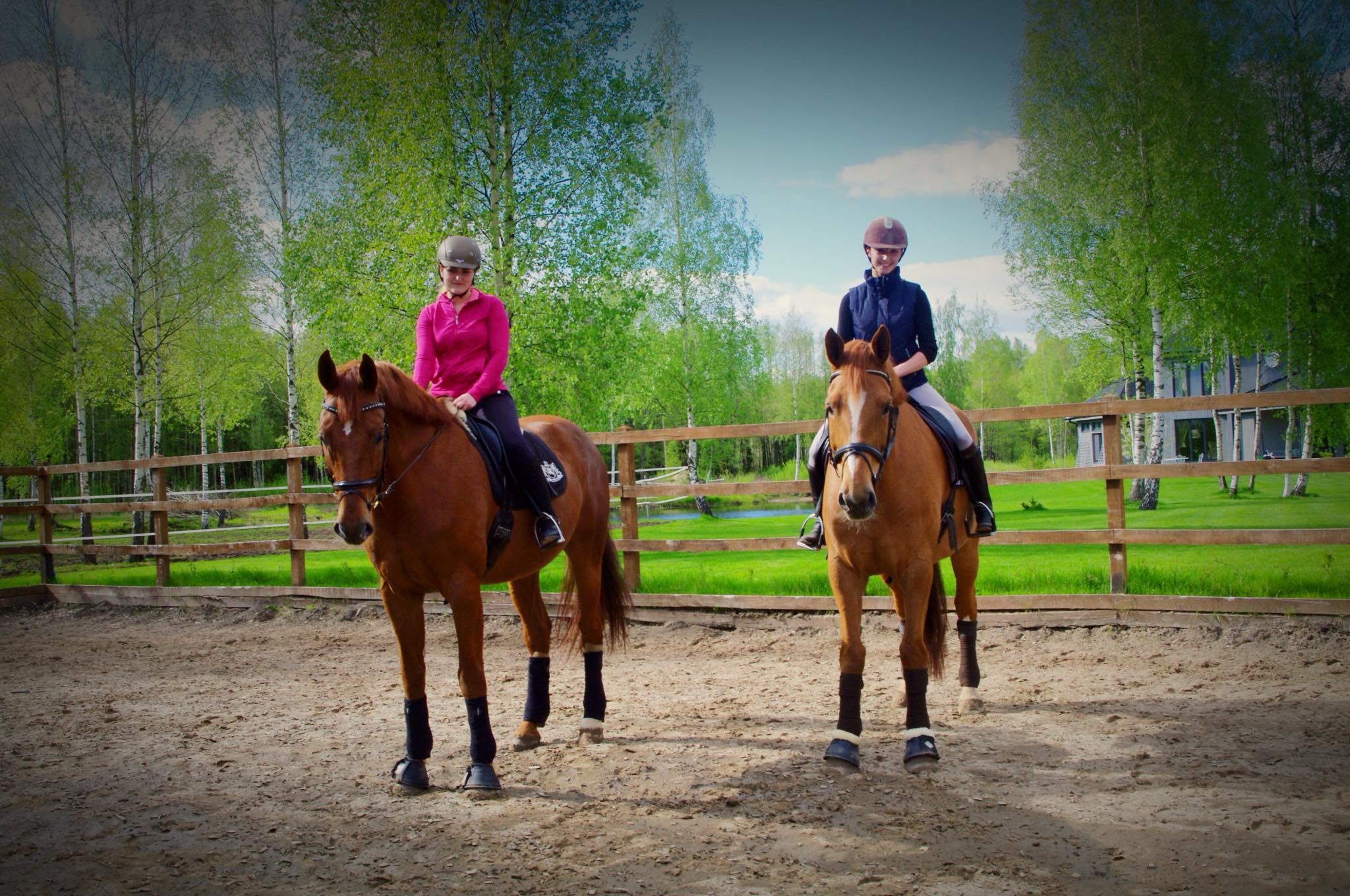 Black Horse stables Home Facebook