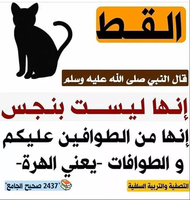 معنى الطوافين والطوافات هو أن شيخ الاسلام ابن تيمية Facebook