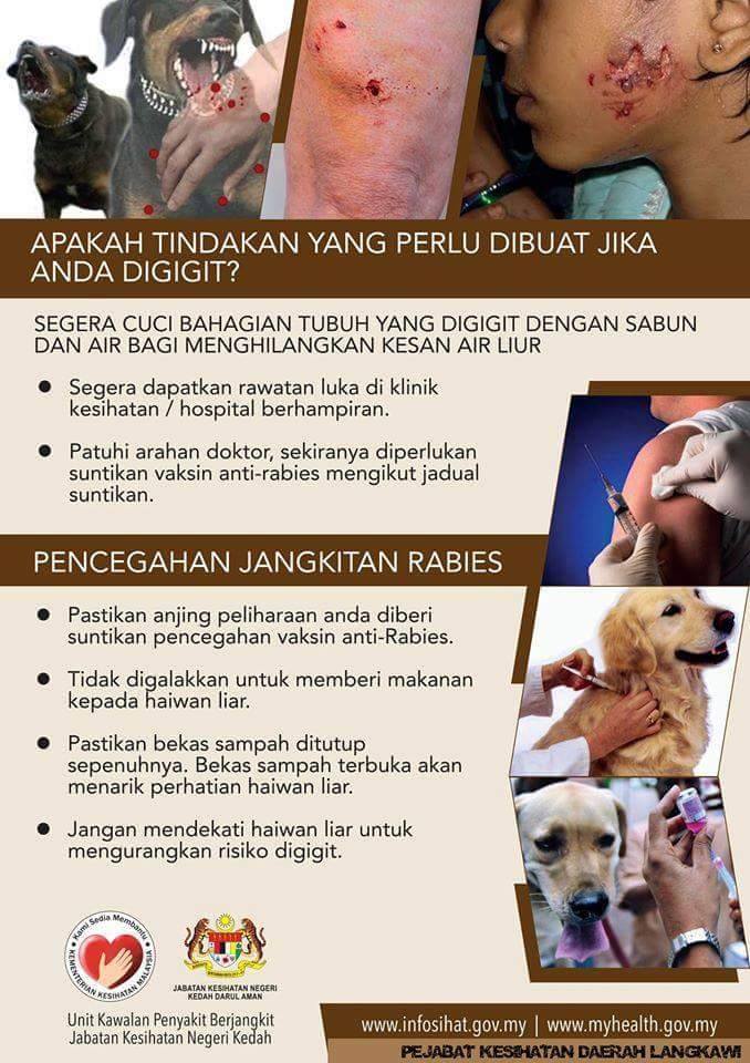 Let's Discover Rabies Together