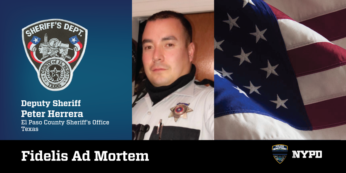 El Paso County Sheriff's Office - EPCSO - NYPD 71st Precinct