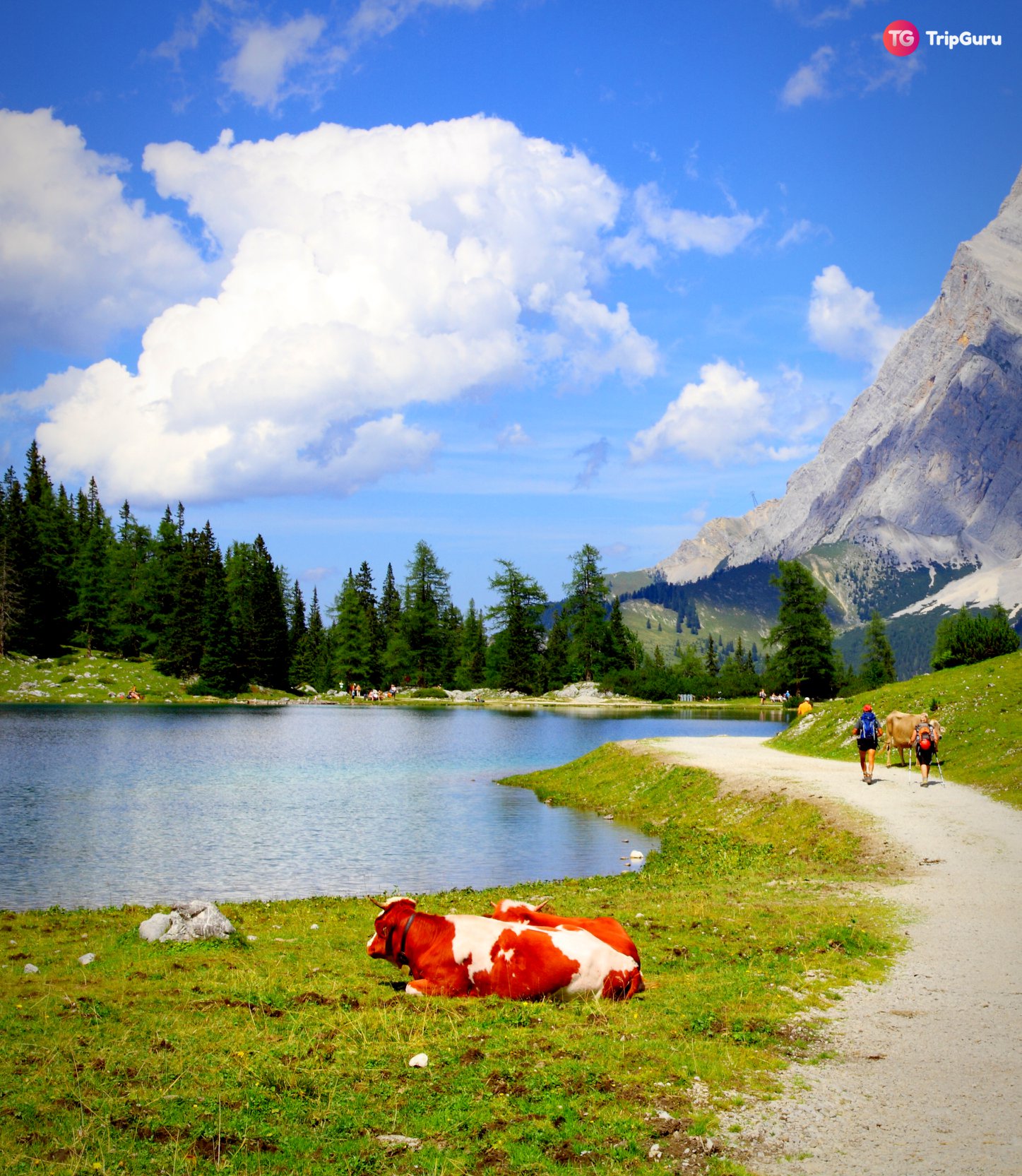 TripGuru.Sg - The Seebensee Lake is a natural high...