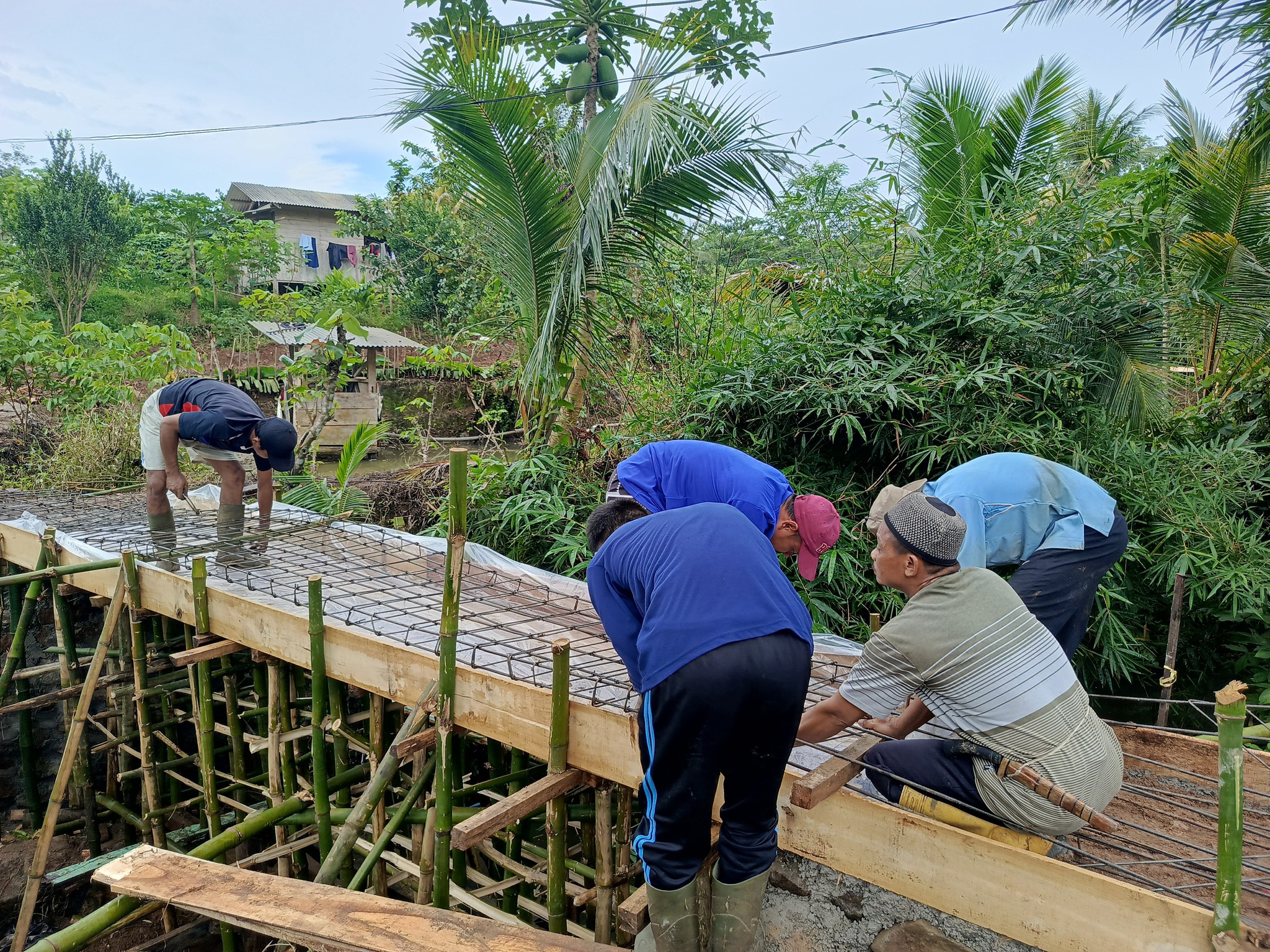 Mustari Mustari